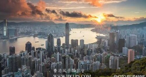 大象传媒怎么下载-探索大象传媒下载的便捷之道