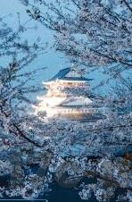 麻豆传媒app下载污-探索生活多元娱乐，和谐互动的数字平台与健康生活