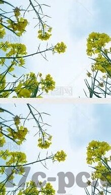 麻豆视频传媒一二-麻豆视频传媒一二，聚焦互联网视频内容的多样性和影响力