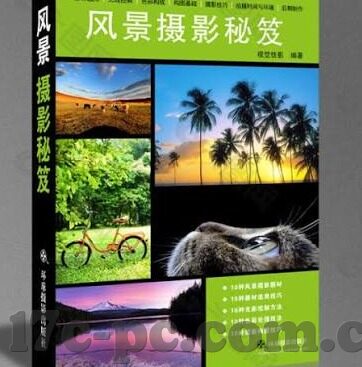 人妻少妇的欲望-探索人妻少妇内心世界的微妙欲望