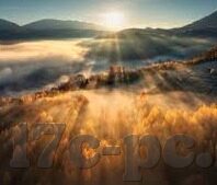 糖心app为什么要付费-糖心app的付费用途，深度洞察其价值与必要性