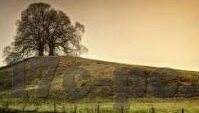 亚洲麻豆传媒-基于多元文化视角的亚洲麻豆传媒，传统与现代的交融